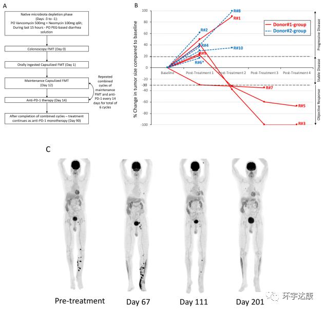 癌症治疗最新成果,2023癌症治疗最新成果