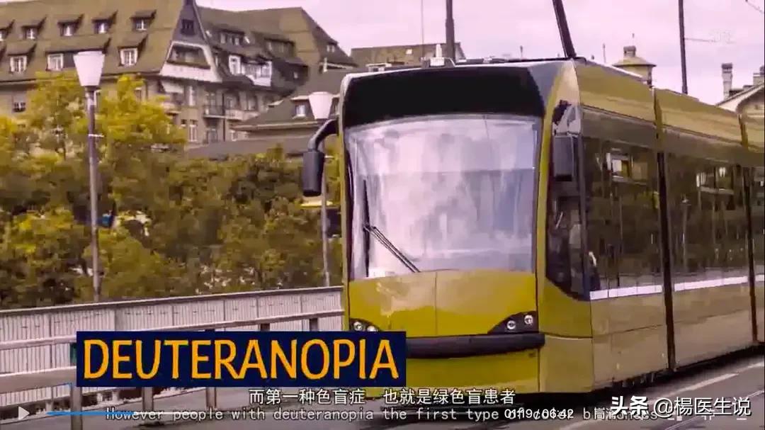 黑白色盲眼中的世界,色盲眼中的世界