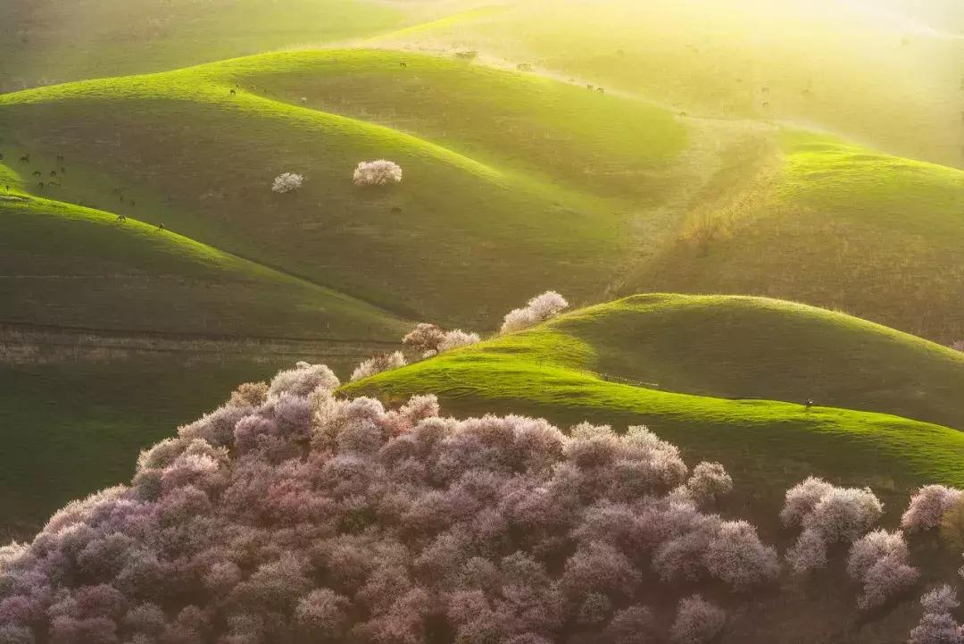 新疆的天堂在哪,新疆人间天堂在哪