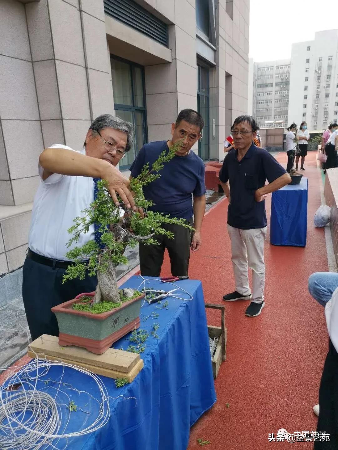 涓浗钁楀悕鐩嗘櫙澶у笀绮惧搧鐩嗘櫙,鐩嗘櫙鑹烘湳瀹跺拰鐩嗘櫙鑹烘湳澶у笀