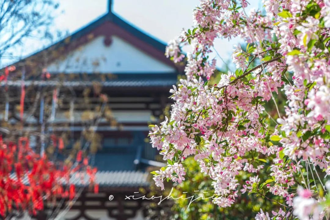 西安旅游全攻略现在的西安人多不,西安人的西安旅游攻略图片