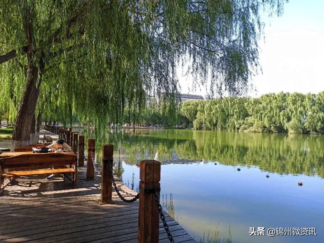 锦州渤海大学校庆献礼!纸短情长,写给我深爱的渤大