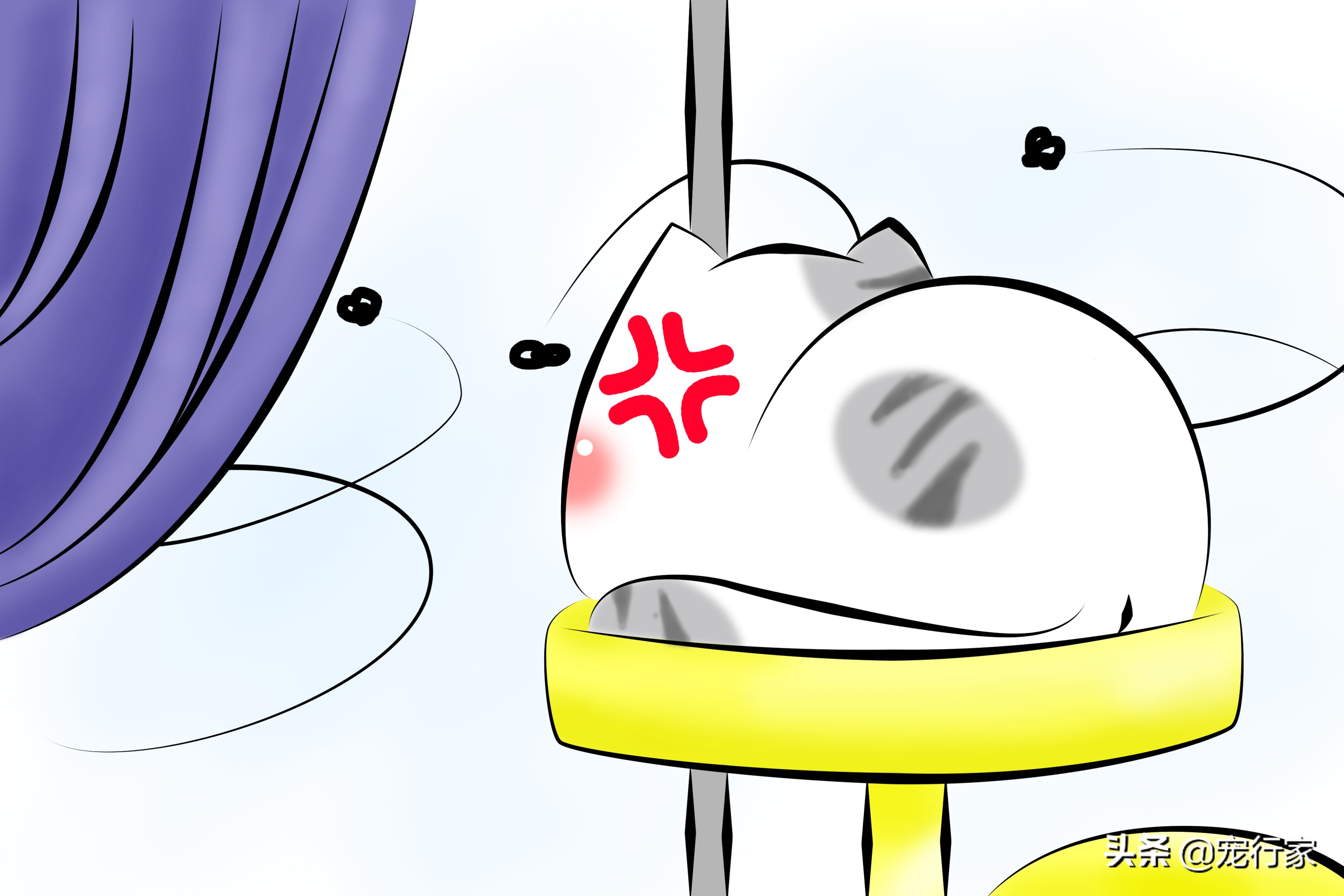 猫咪爱偷吃家里食物,猫咪爱抓鸟吃