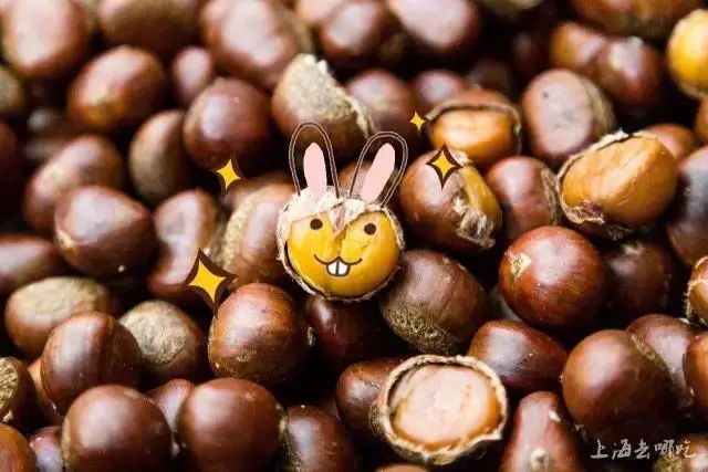 立秋，立秋！这43件事，上海人必须要去做