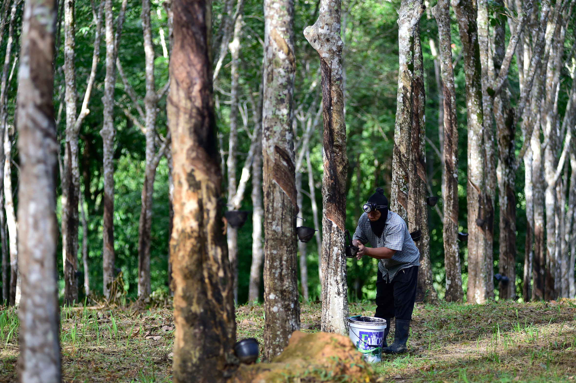 泰国乳胶枕官方旗舰店 (泰国乳胶枕三大品牌与价格)