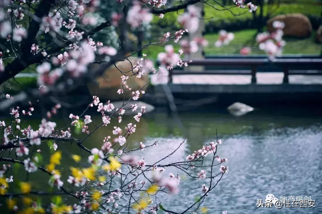 星河湾的优势是什么,跨入星河湾