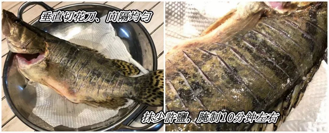 清蒸鳜鱼经典做法,广式葱油蒸鳜鱼