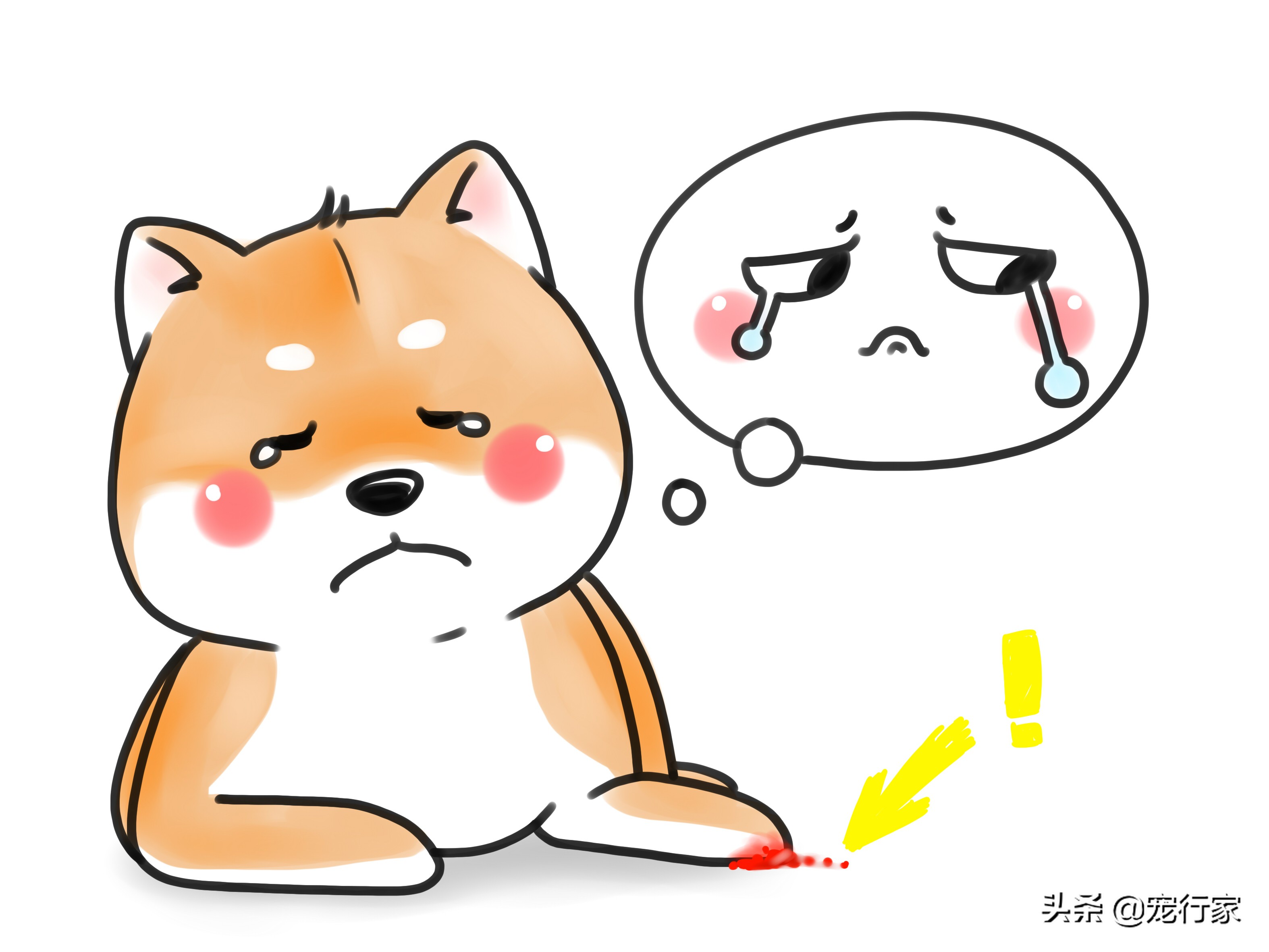 狗狗爪子出血抹什么药膏,狗狗爪子缝里发红怎么办