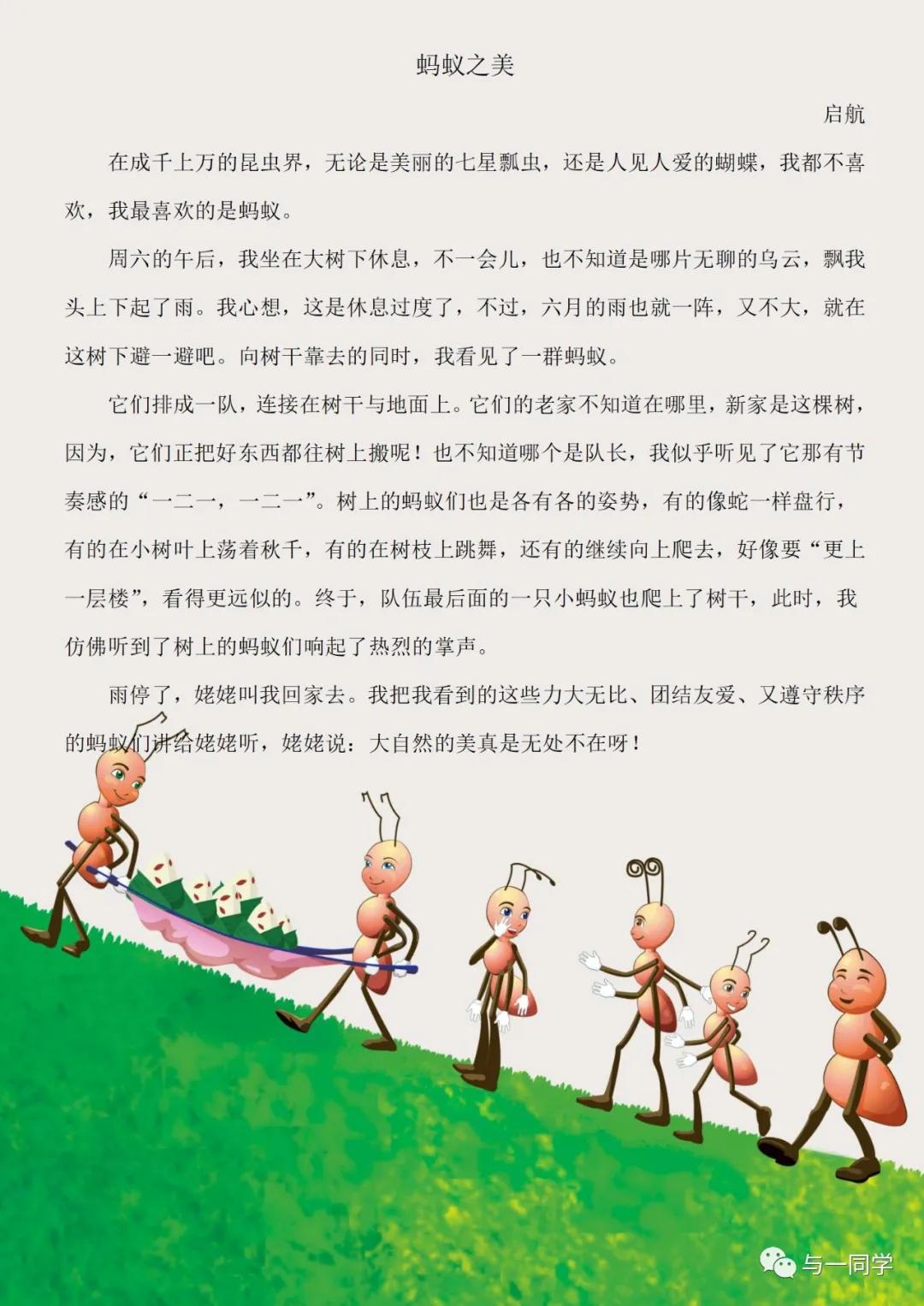 昆虫作文说明文,关于昆虫的作文题目自拟