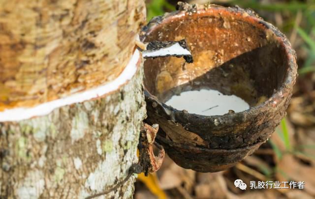 泰国乳胶枕头正确睡法,如何挑选泰国乳胶枕头