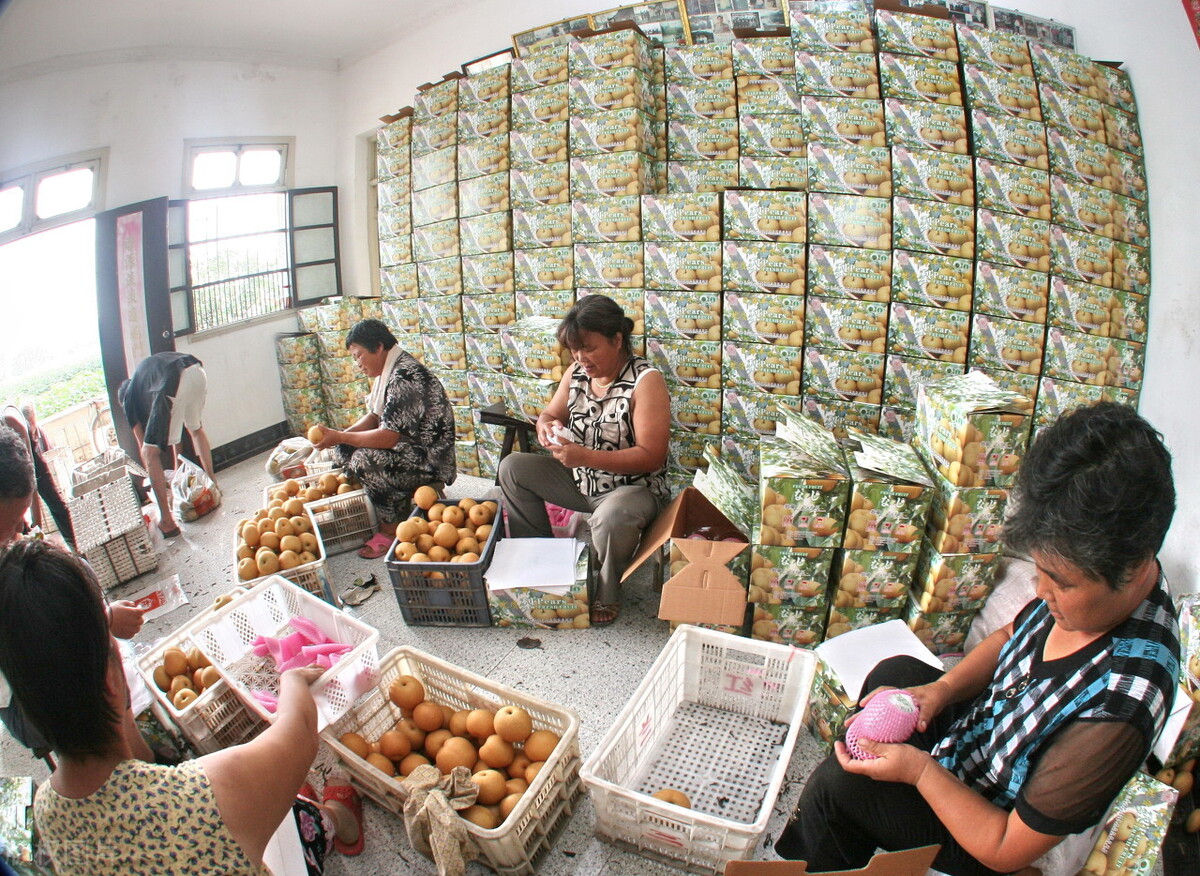 倒春寒对农产品期货的影响,高温对什么期货农产品影响最大