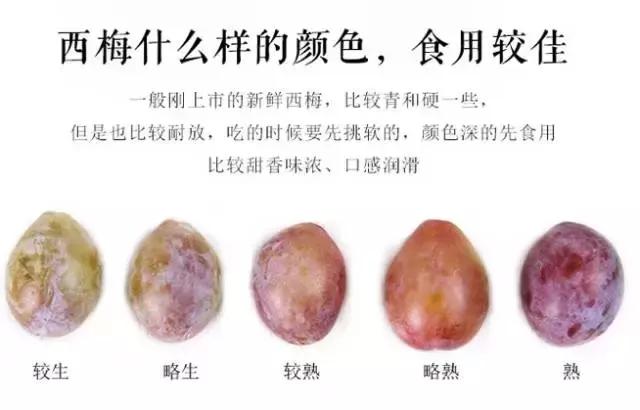 李雷和韩梅梅的大学生活,李雷和韩梅梅老同学还好吗