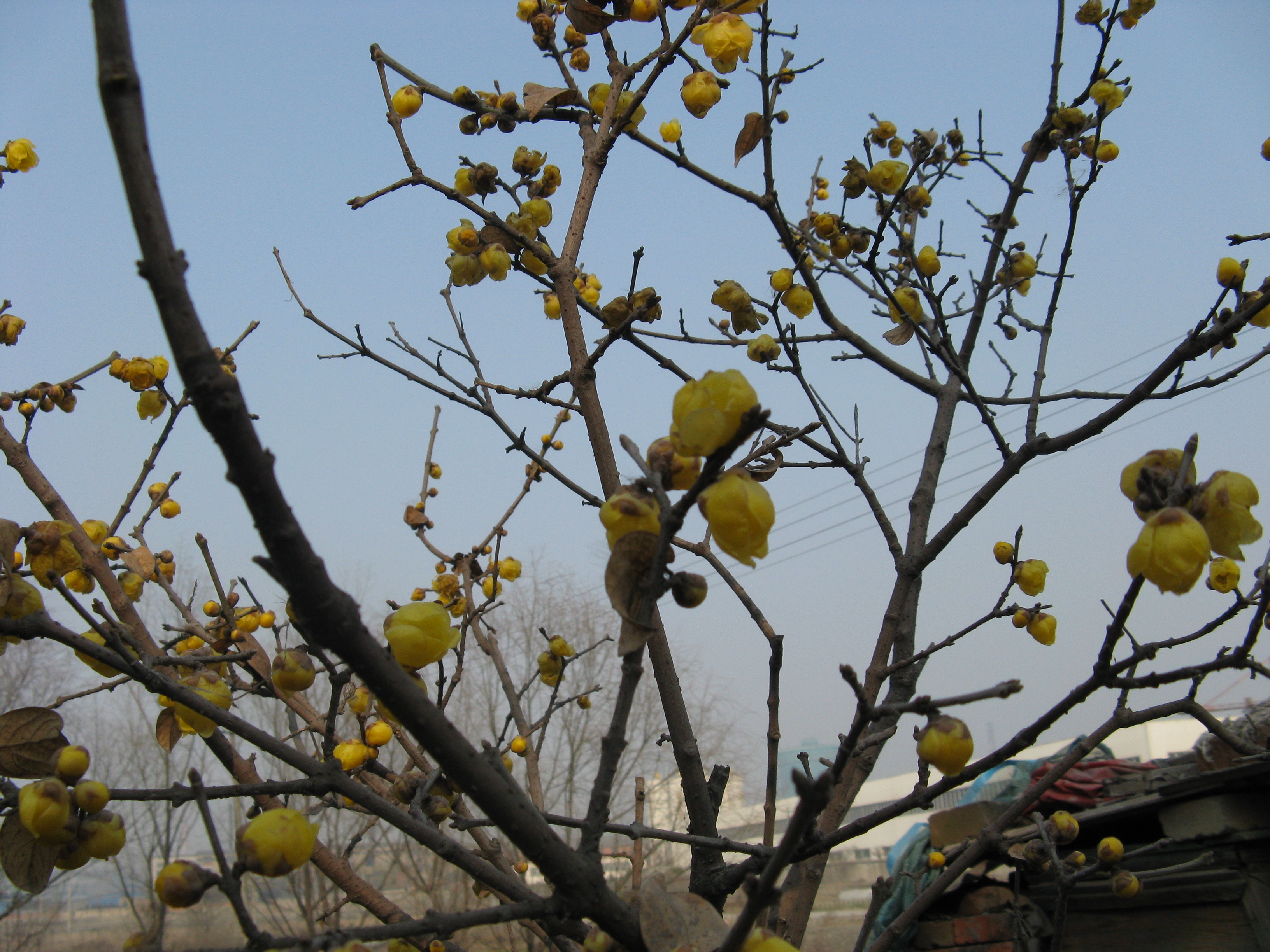 伦仔的故事33,伦仔的故事