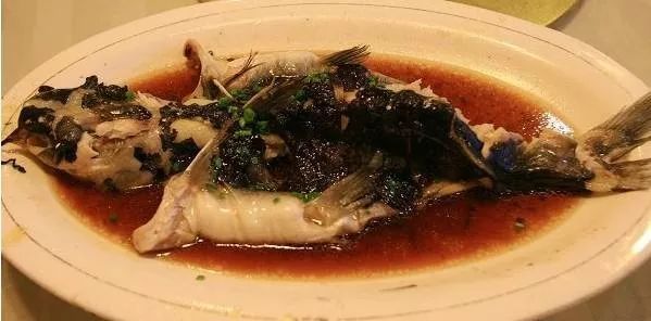 世界顶级淡水鱼大全,世界上顶级鱼类大全