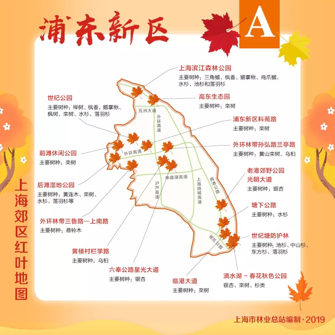 赏枫地图,赏红叶正当时