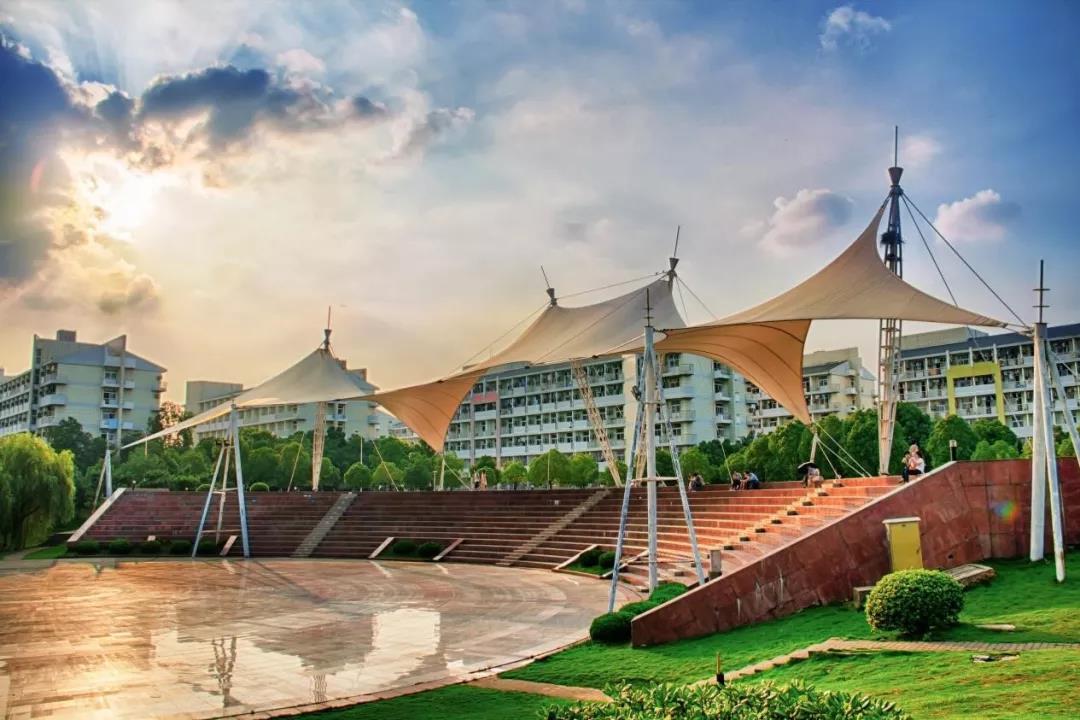 安徽就业前景最好的专业,安徽就业率最高的专业