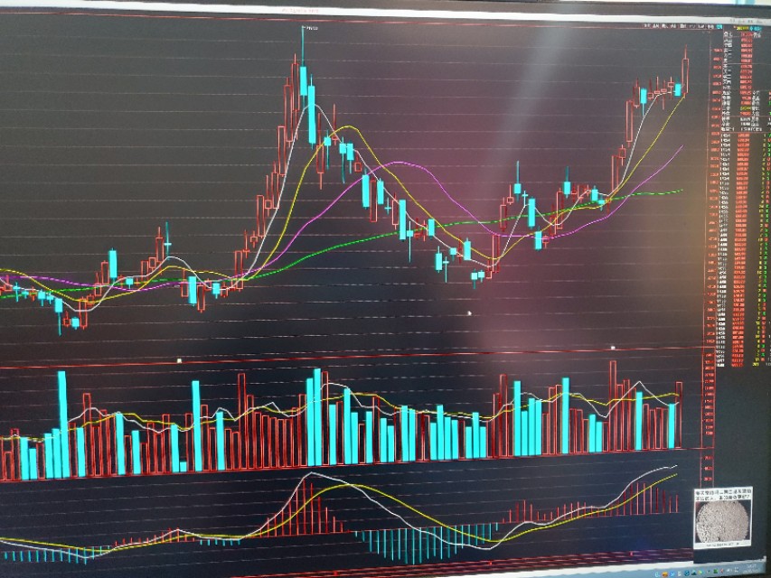 股票是做什么的呢,股票是用来投资的