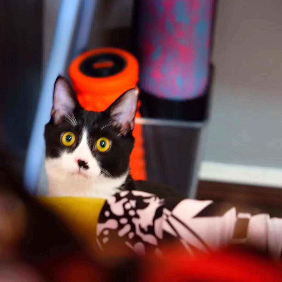 和卡卡的第一次合作,和卡卡相遇