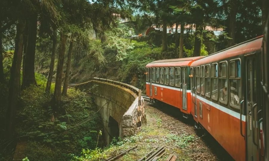太美了开往春天的列车,这些开往春天的列车简直美呆了