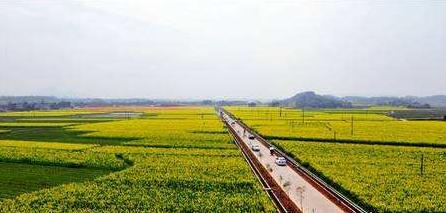 如何提高自己为人处世的能力,怎样提高自己的为人处世能力