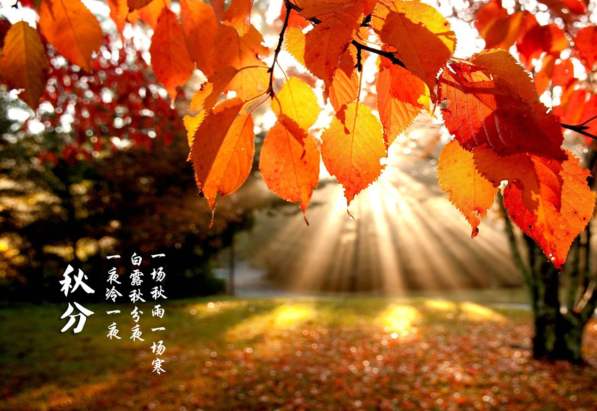 风湿骨病养生办法,秋天养生手册大全