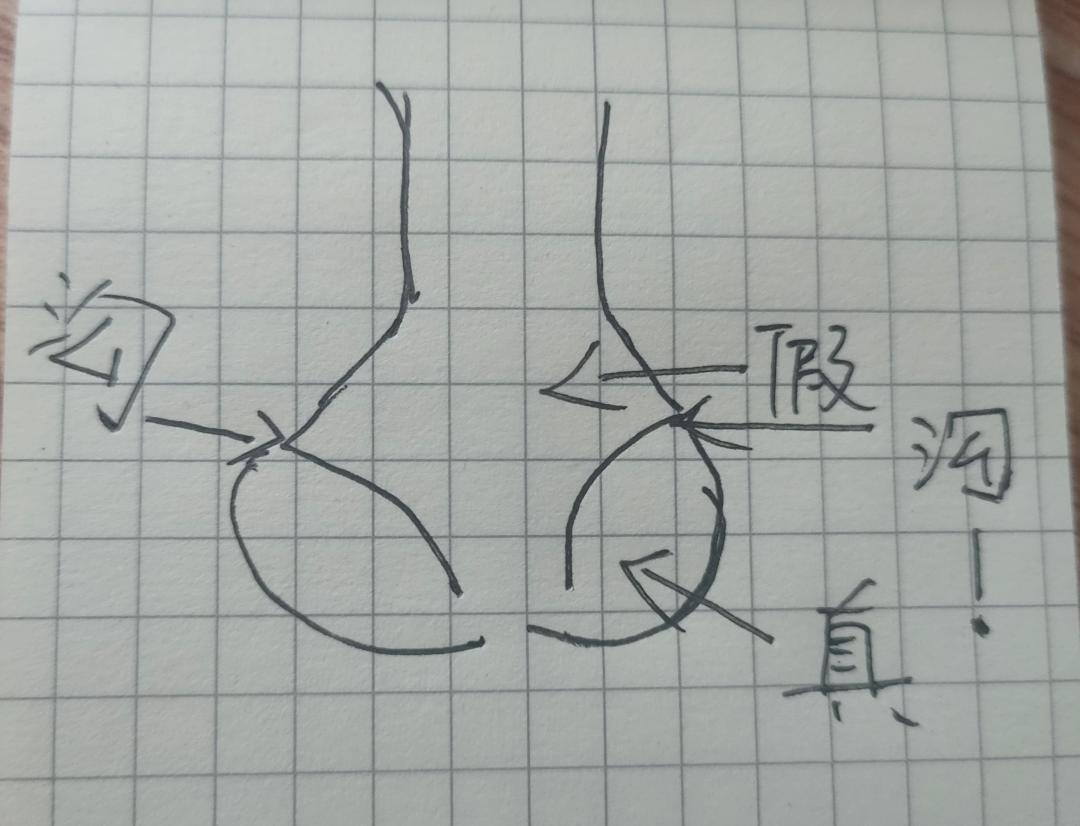 公认最快最有效翘臀方法,如何拥有一个完美的翘臀