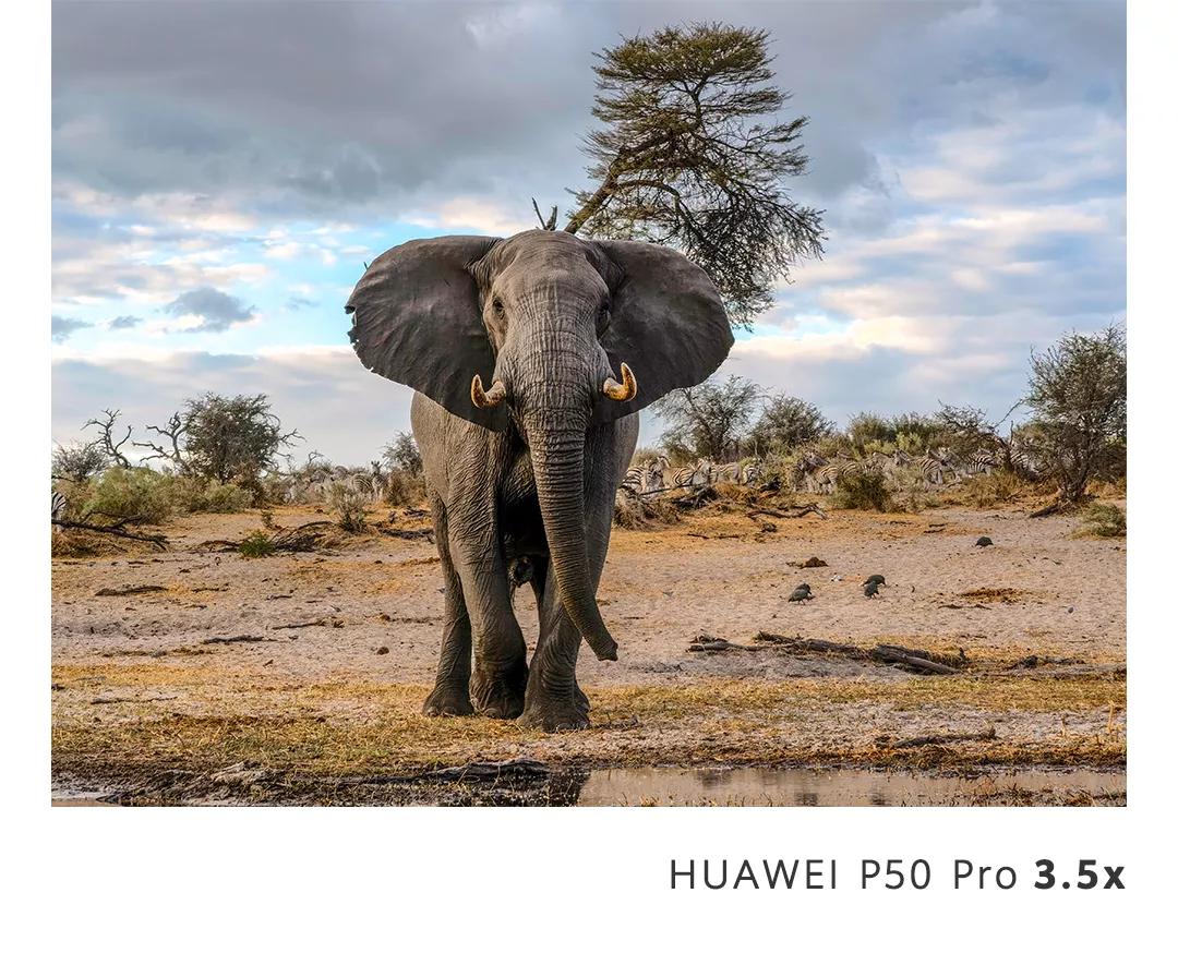 新款华为p50标准版拍摄效果图,华为p50的拍摄效果怎么样