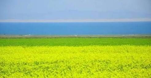 40个中国文化符号,中国各省区文化符号