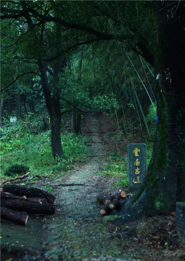 东钱湖徒步路线哪条最美,东钱湖附近有哪些免费古道