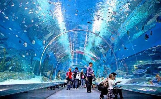 这一份公交交通指南，带你玩转上海各大景点