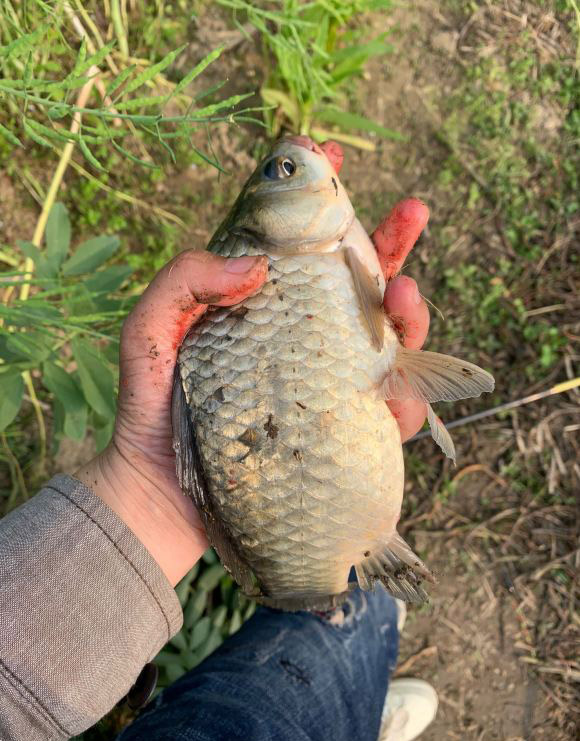 钓鱼越久抛竿越差,钓鱼越久越好吗