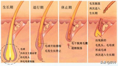 美容院做脱毛需要什么证件,美容院脱毛攻略