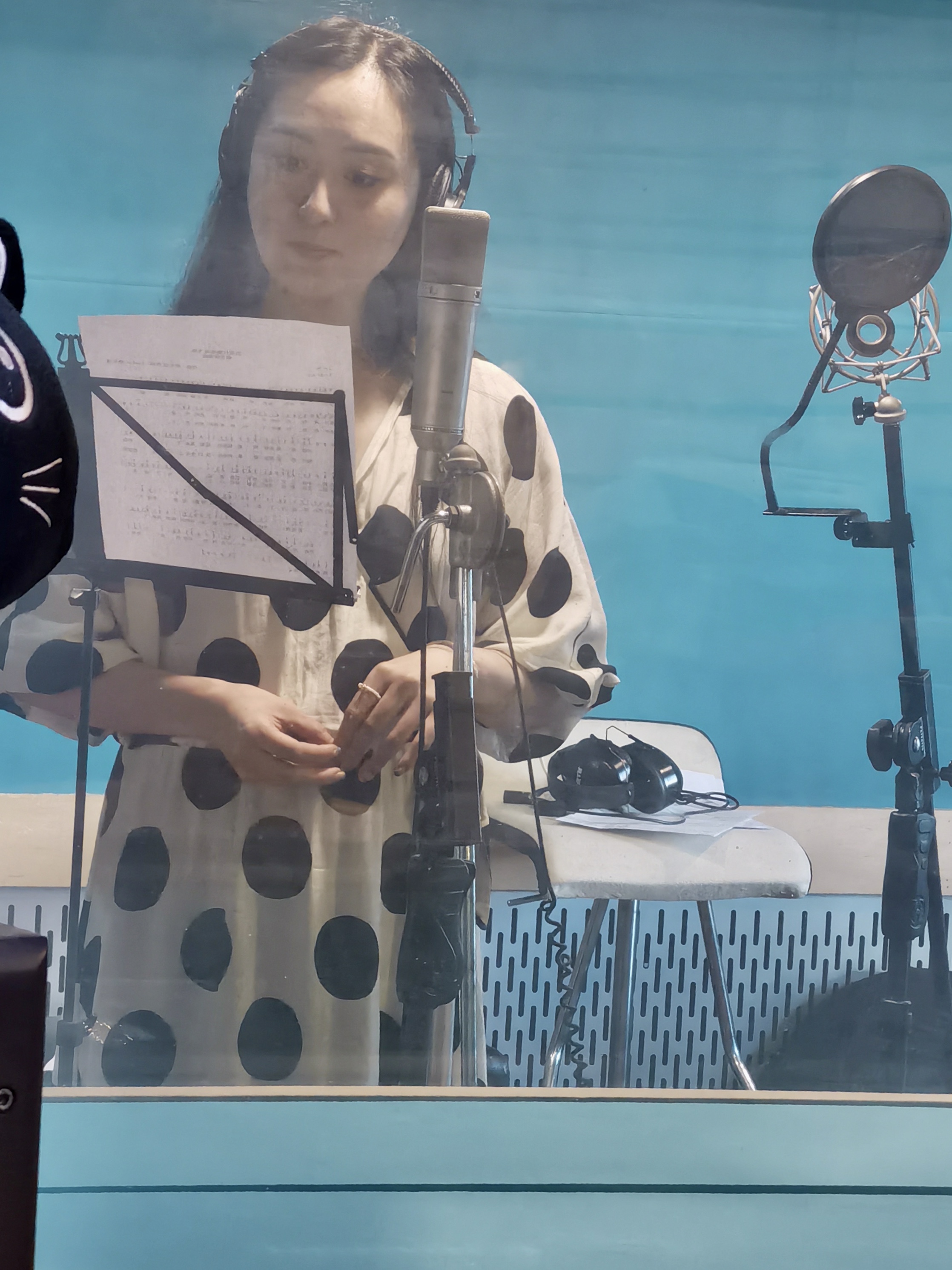 陈思思演唱红旗颂,歌唱家陈思思中国梦