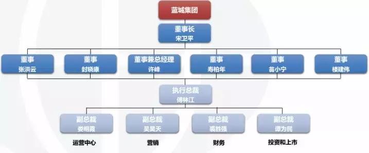 蓝城文旅集团董事长,蓝城集团地产公司简介