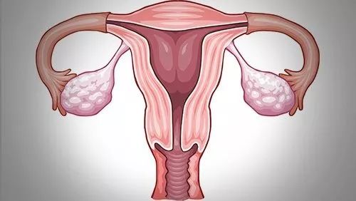 月经量少排卵不好吗,月经量少排卵的卵子质量好吗