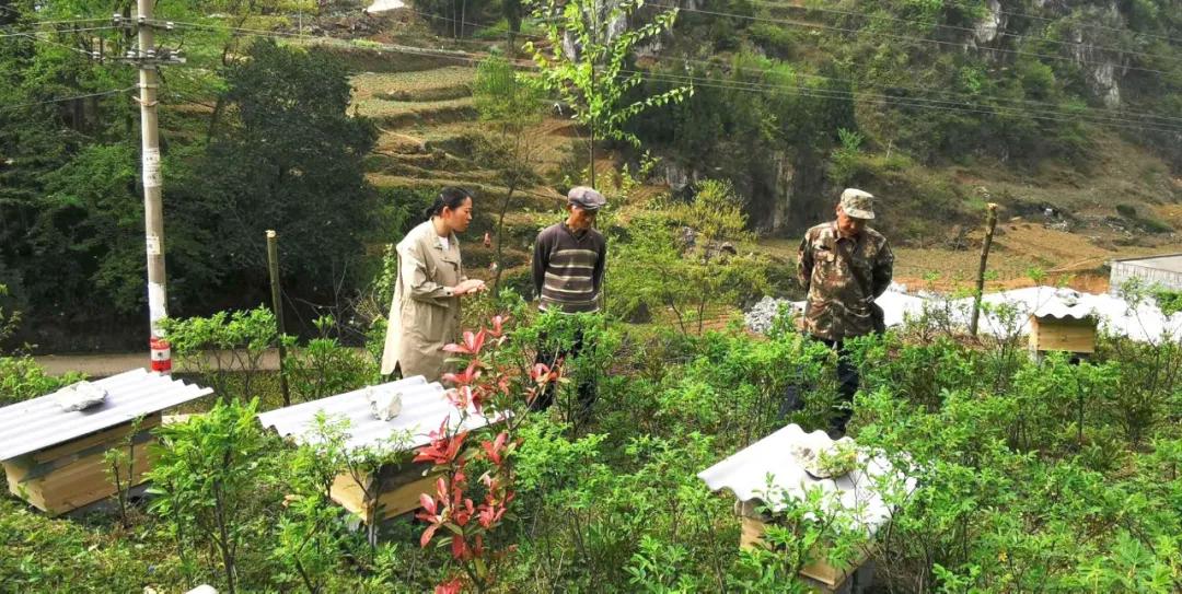 省城下来的实在人——记贵州纳雍左翼河社区第一书记黄瑾
