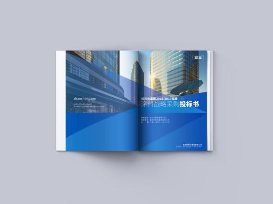 标书封面格式样本,标书标题目录