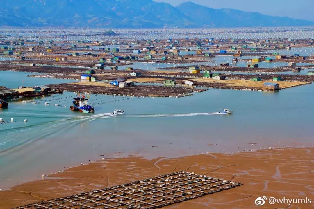 这么一片五彩滩涂奇幻仙境，超惊艳！在福建，厦门动车可以直达