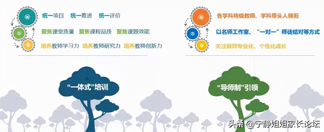 不是指导，不是挂牌！泡小“亲兄弟”桐欣校区到底怎么样？