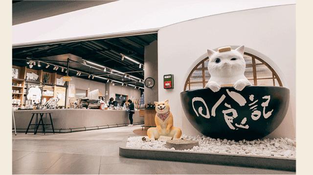 购物中心实体店转型,购物中心数字化转型