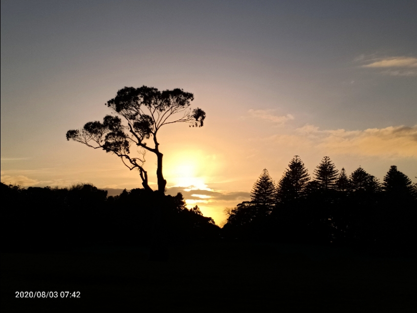 一树山,我的精神家园