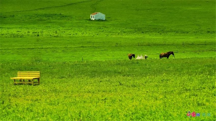 “草原诗人”冰风：不愿再看到“两匹马，在草原的网围栏两侧徘徊”