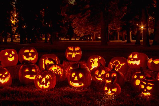 苏州市四季恒温水乐园在哪里,四季恒温水乐园苏州