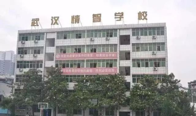 武汉民办高中招生信息,2018年武汉民办高中学费看涨