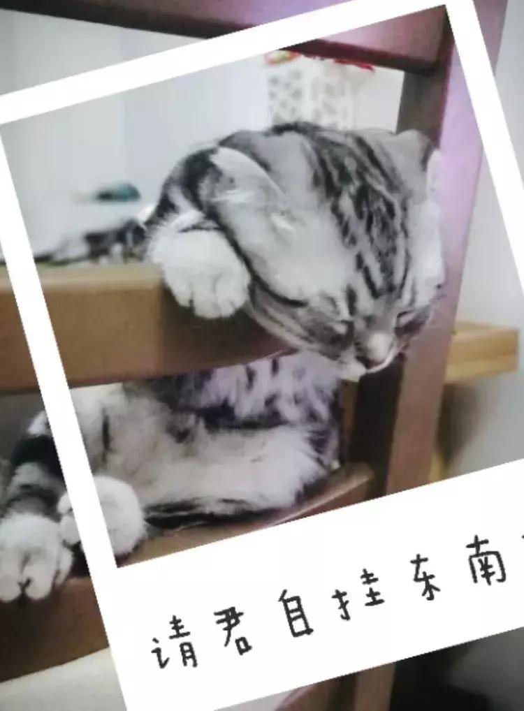 婚前我帮老婆还清了债务，结婚一个月后老婆跑了，我的钱该怎么要回来？