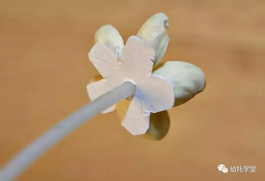 废物利用亲子手工制作坚果,创意坚果手工制作大全图片