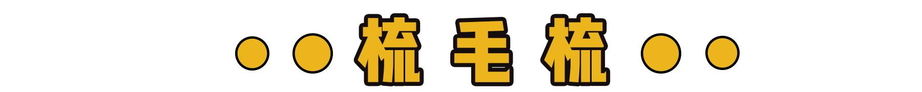 新到家猫咪需要做什么体检,猫咪到家第一夜铲屎官怎么做