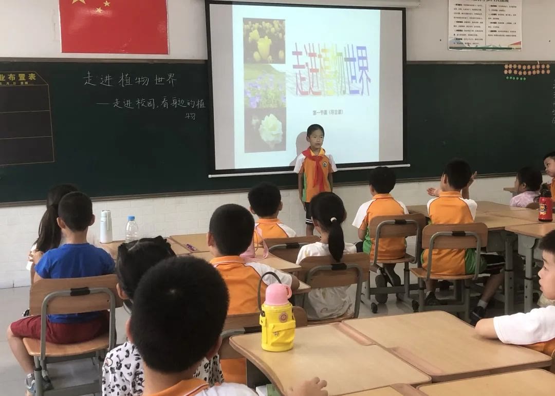 271教育课堂,271教育四节课程是啥