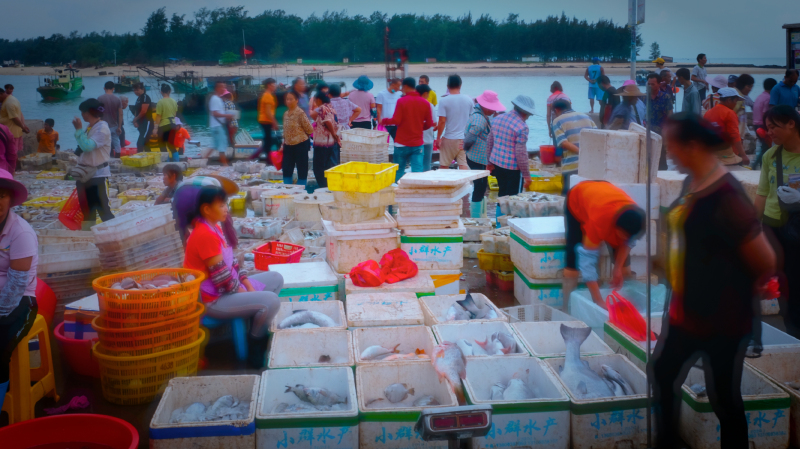 广东湛江旅游攻略美食,湛江旅游海鲜推荐一下