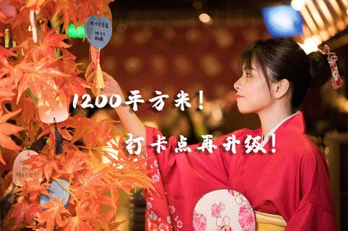 日式酒场大哥大出来营业了，凌晨3点还被小仙女围观